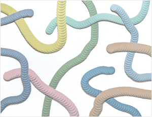 Haneno Suzuki "PLAYFUL LINES"