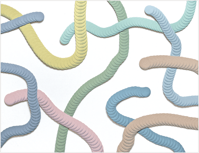 Haneno Suzuki &quot;PLAYFUL LINES&quot;