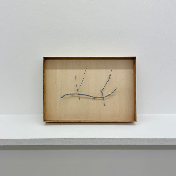 Ryohei Yoshiyuki "work in the park"