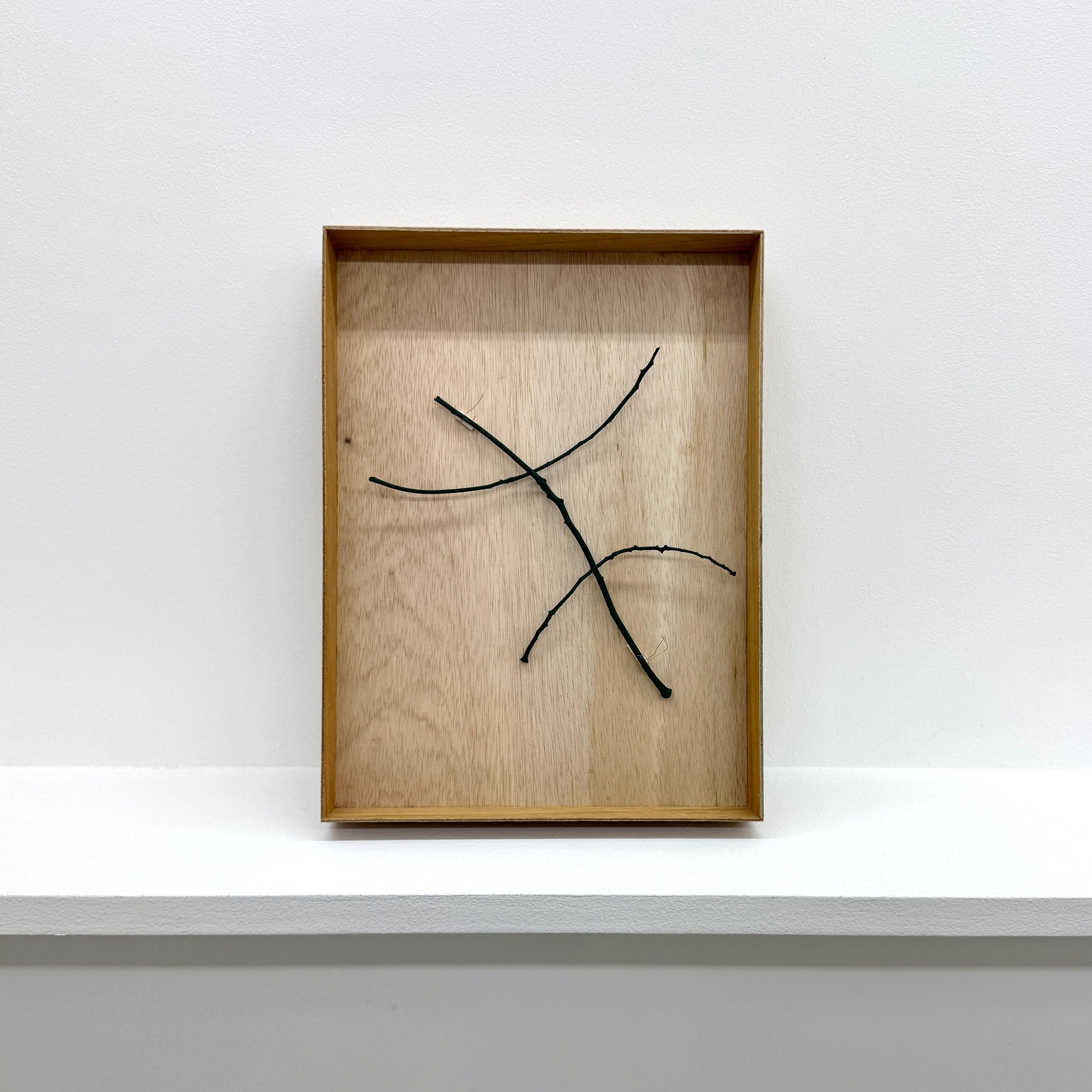 Ryohei Yoshiyuki "work in the park"