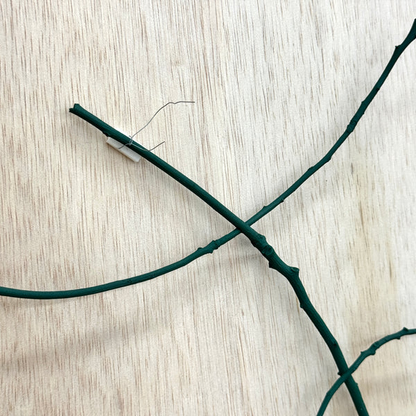 Ryohei Yoshiyuki "work in the park"